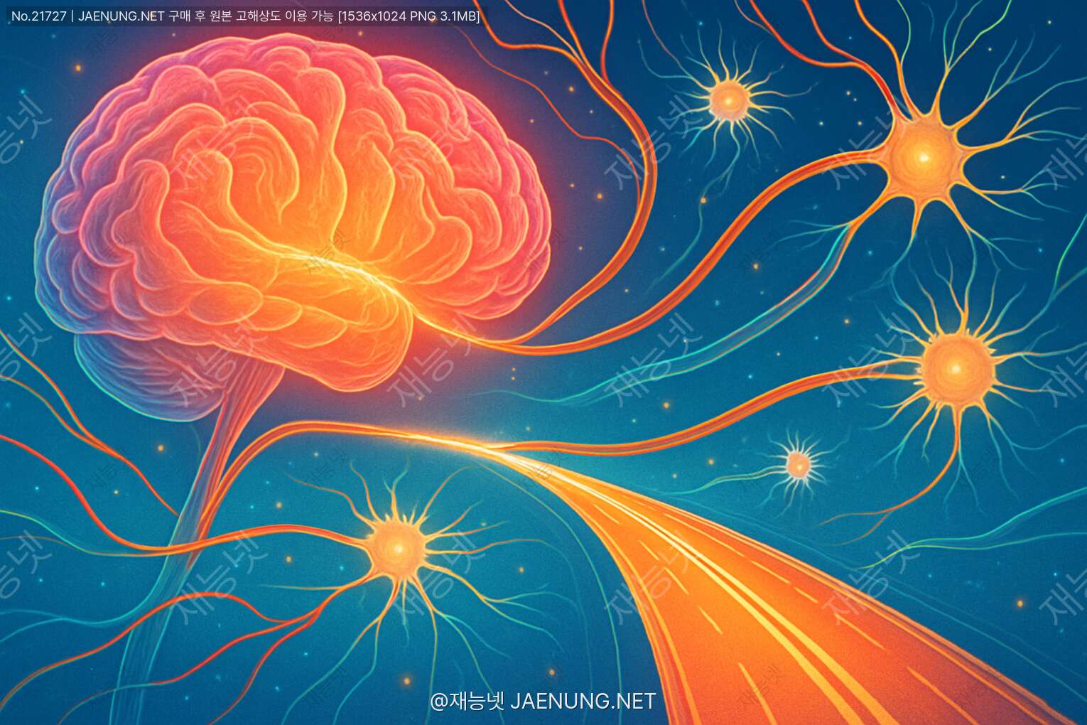 콘텐츠 대표 이미지 - 🧠 수초화 과정의 비밀: 뇌의 고속도로를 만드는 신경 신호 전달의 효율성 향상 메커니즘 🧠