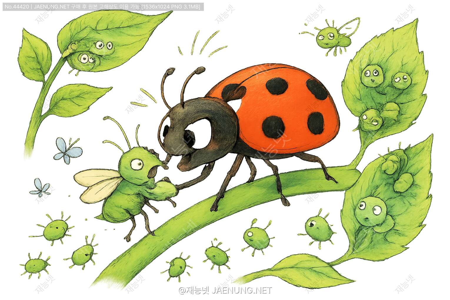 🐞 무당벌레의 진딧물 사냥 이야기 🦟
