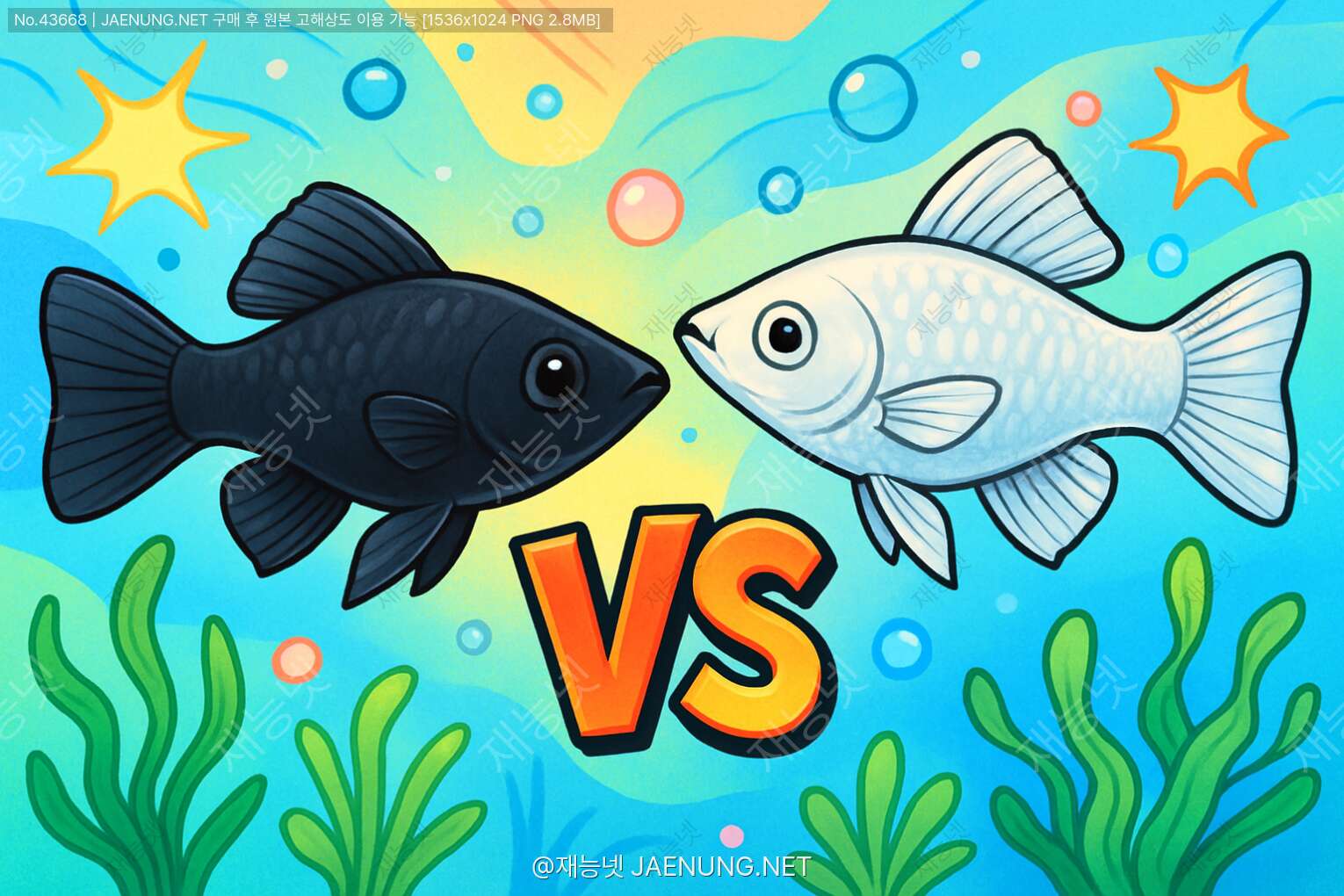 🐟 몰리 완전정복! 블랙몰리 vs 실버몰리 비교 가이드 🌊