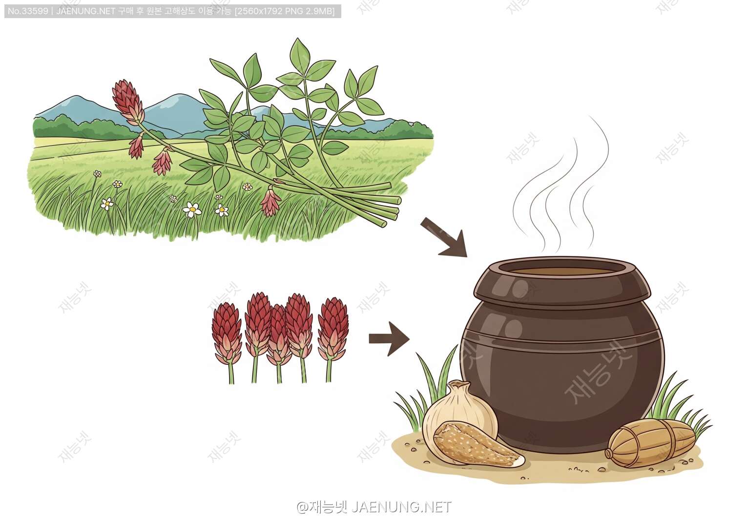 황기, 밭에서 우리 집 약탕기까지! A to Z 재배 & 수확 완전정복 가이드 🌿