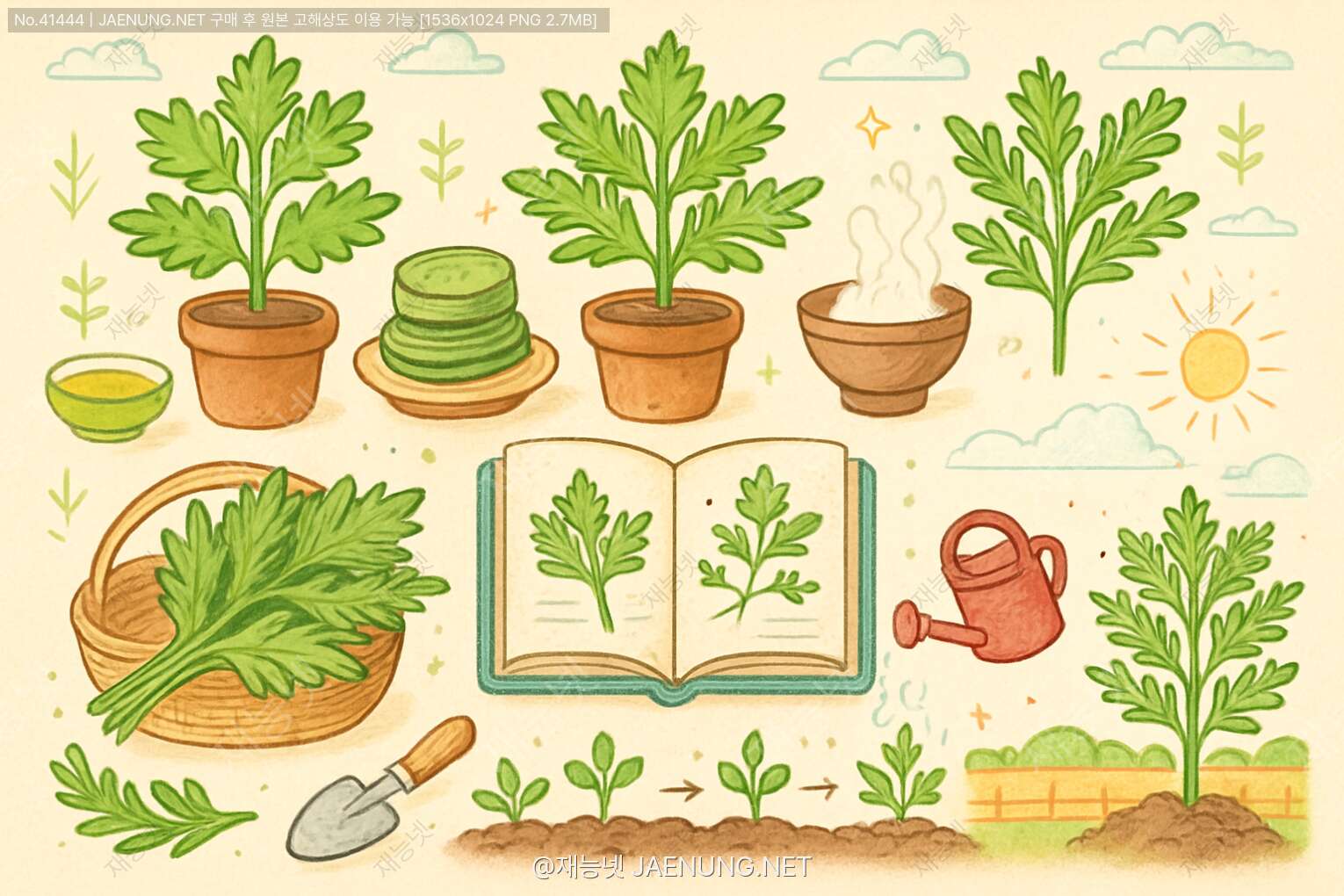🌿 쑥 품종별 용도와 재배 완전정복 가이드 🌱