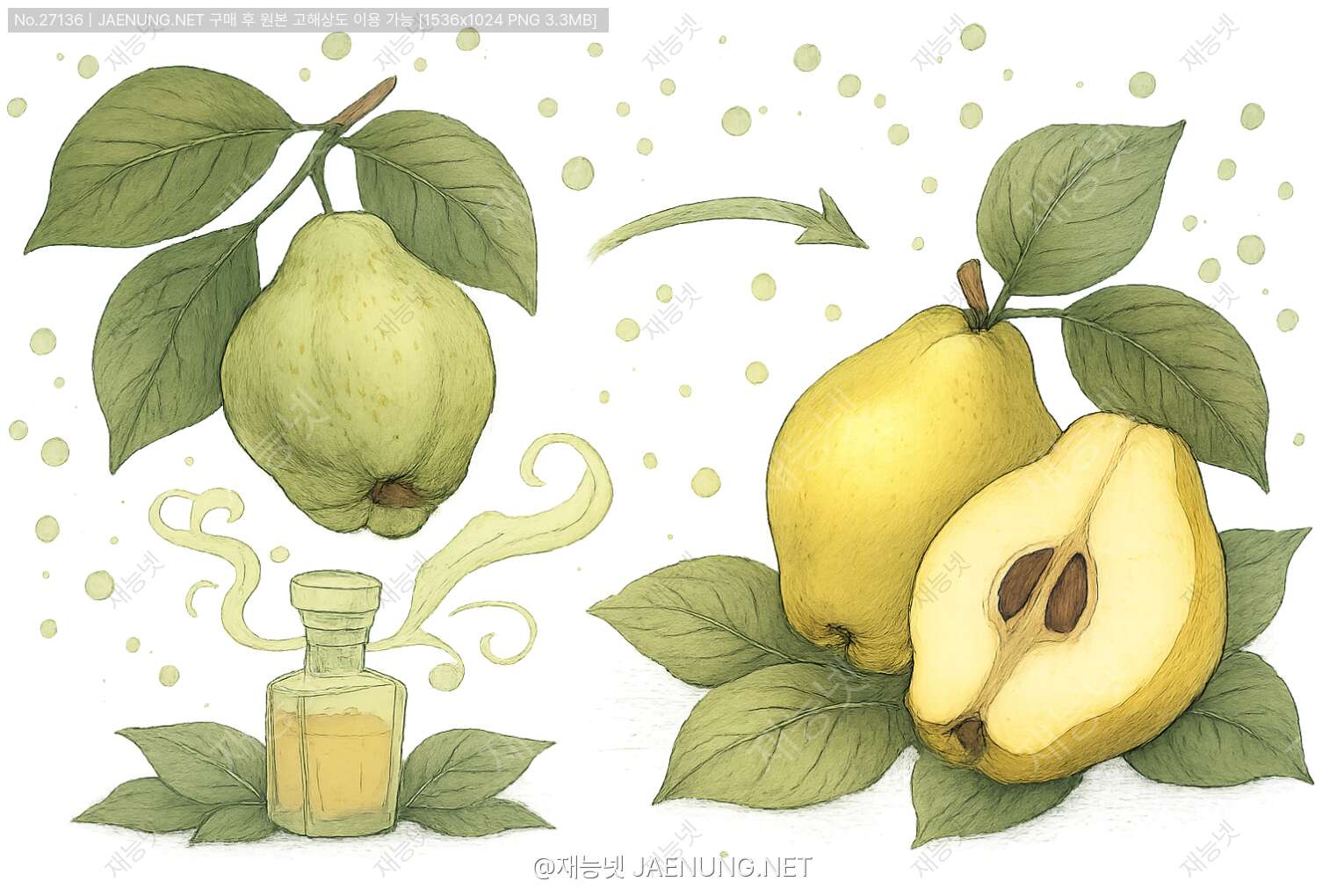 콘텐츠 대표 이미지 - 모과의 달콤한 변신! 🍈 수확 후 후숙 관리로 맛과 향을 극대화하는 방법
