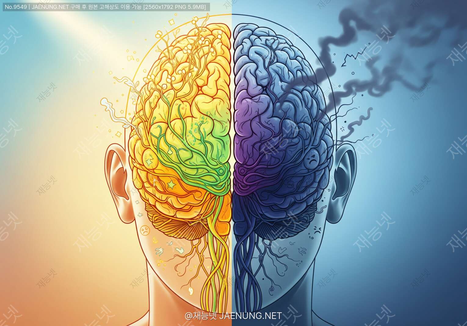콘텐츠 대표 이미지 - 😊 긍정적 사고 vs 부정적 사고: 뇌 구조에 미치는 영향