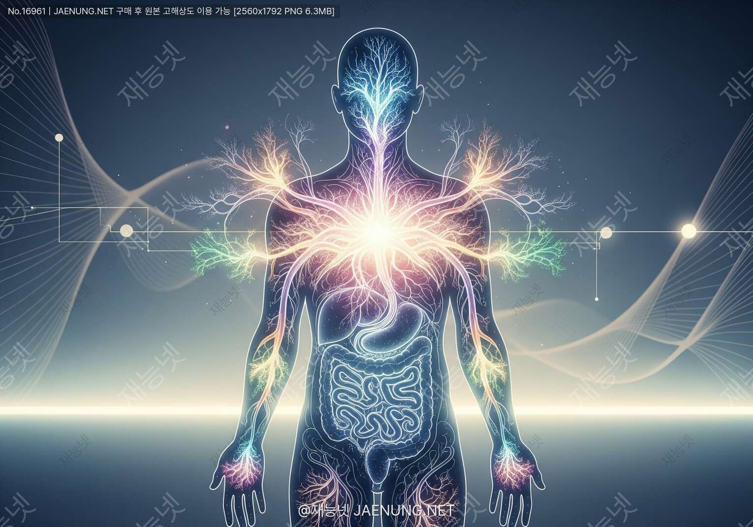 콘텐츠 대표 이미지 - 인체 내에서 스스로 진화하는 생체재료의 미래: 우리 몸과 함께 성장하는 바이오 융합기술의 세계