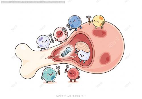 🔬 우리 몸이 임플란트를 받아들이는 신비로운 과정