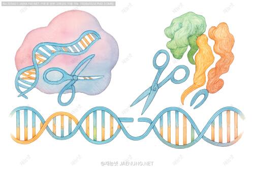 CRISPR vs 아연핑거: 유전자 가위, 누가 더 정확하고 효율적인가? 🧬