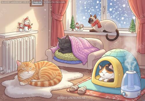 🐱 겨울철 고양이 보온 방법 완벽 가이드 ❄️