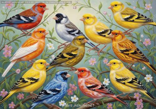 🐤 카나리아 색상 품종 완벽 가이드: 노란 새만 있는 게 아니야! 🎨