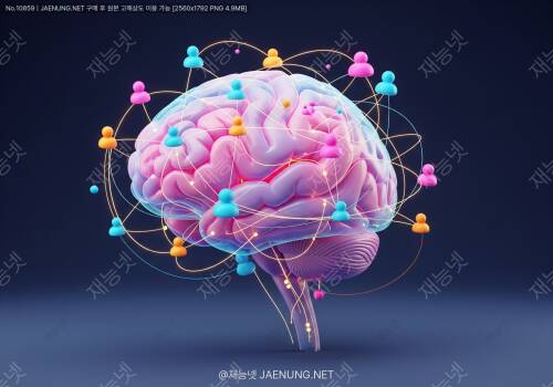 🧠 뇌는 어떻게 복잡한 사회적 관계를 이해하고 관리할까?