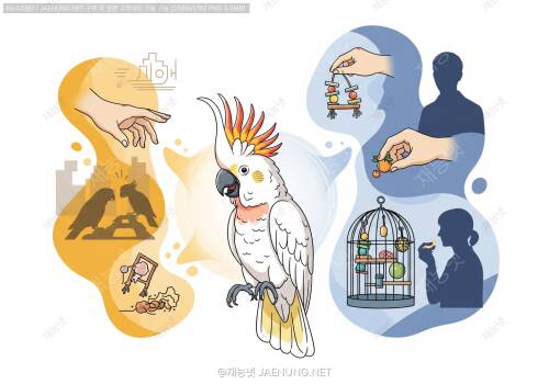 🦜 앵무새 공격성 행동 원인과 대처법 완벽 가이드