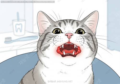 🐱 고양이 치은염, 잇몸이 빨개요! 우리 냥이 입 속 건강 지키기
