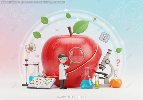 🍎 사과를 껍질째 먹으면 정말 다이어트에 도움될까? 과학적으로 파헤쳐보는 사과 껍질의 비밀