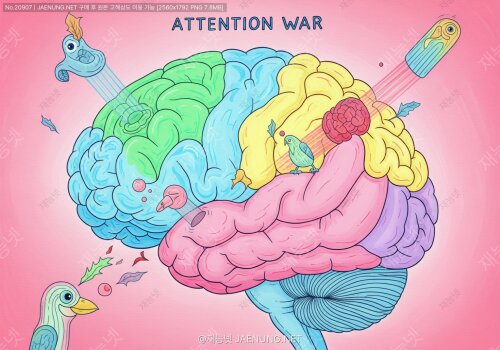 🧠 전두-두정 네트워크 vs 디폴트 모드 네트워크: 우리 뇌 속 주의력 전쟁의 비밀