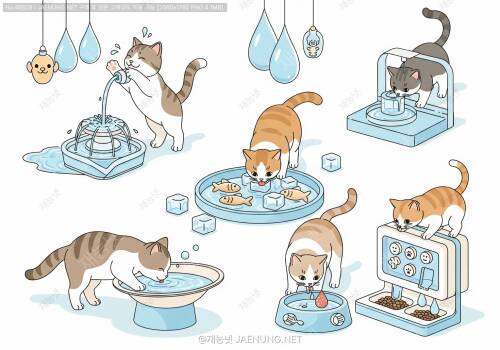 고양이 물 섭취량 늘리는 방법완전 정복 가이드 💧