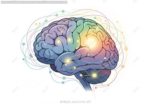 🧠 우울증의 신경생물학: 세로토닌 가설을 넘어서 🧠