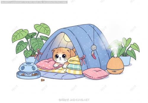 겁 많은 고양이 적응시키기: 소심냥이를 위한 완벽 가이드 🐱