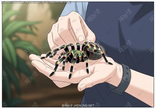 🕷️ 타란툴라 핸들링, 안전하게 만질 수 있을까?