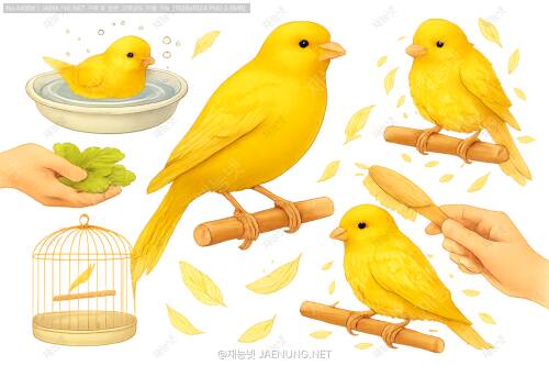 🐤 카나리아 털갈이 시기별 케어 방법 완벽 가이드