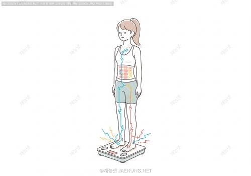 ⚡ 전자식 체지방계의 측정 전류 원리 🔬