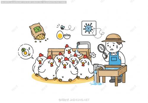 🐔 닭 복수증 발생원인: 양계농가가 꼭 알아야 할 질병 완전정복 가이드