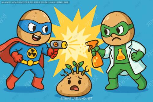 🥔 방사선조사 vs 화학처리, 발아억제 대결! 🧪
