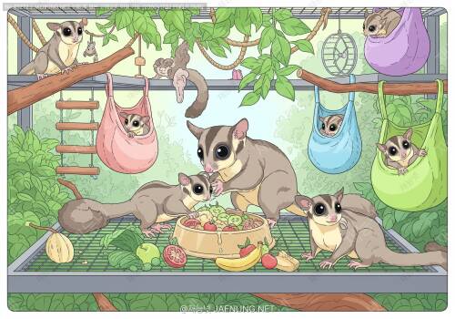 🐿️ 슈가글라이더 합사의 모든 것