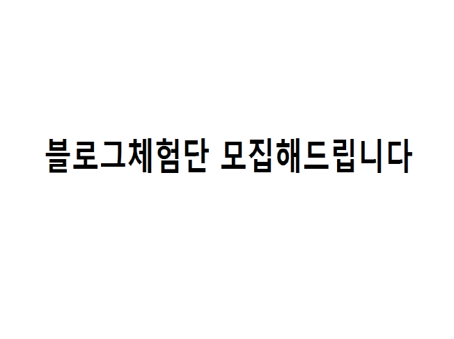 [블로그체험단 모집해드립니다/최적화블로그/진행경험다수]
