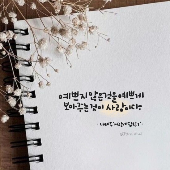 캘리그라피 디자인