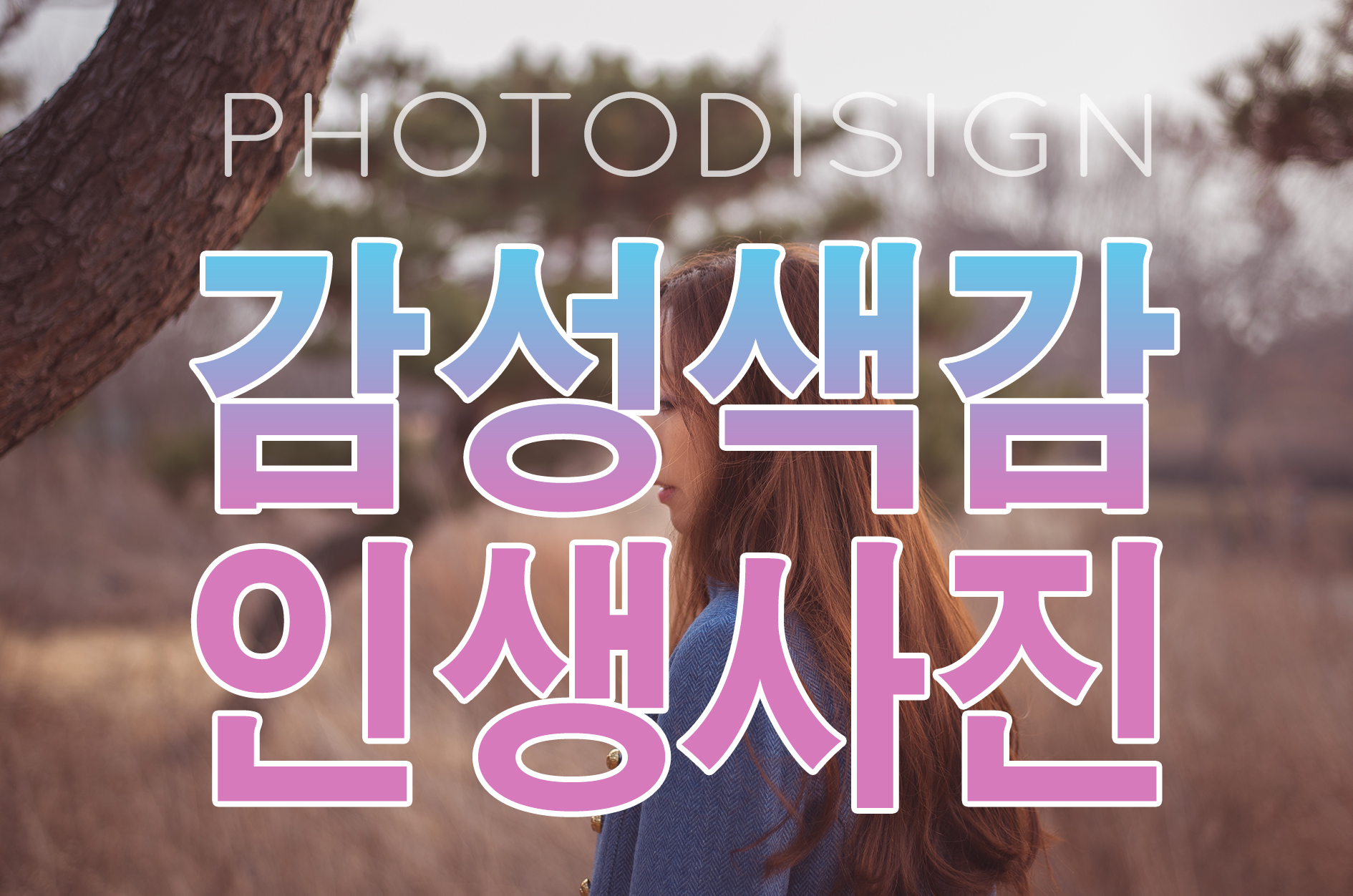 야토디자인 프로필